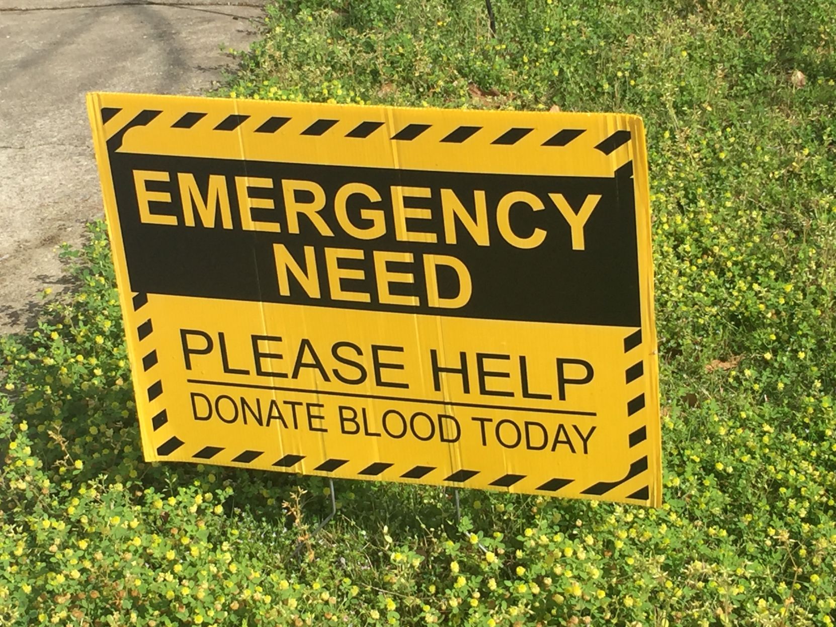 Signs of the times of the COVID-19 pandemic in Lee County